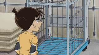 名探偵コナンアニメ 1121話 あぶなすぎるメロン畑 Detective Conan Episode 1121