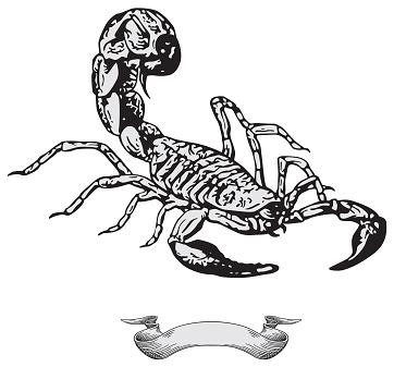 Scorpion Tattoo Design.