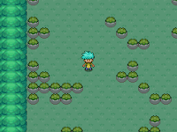 Pokemon Radiant Version Screenshot 08