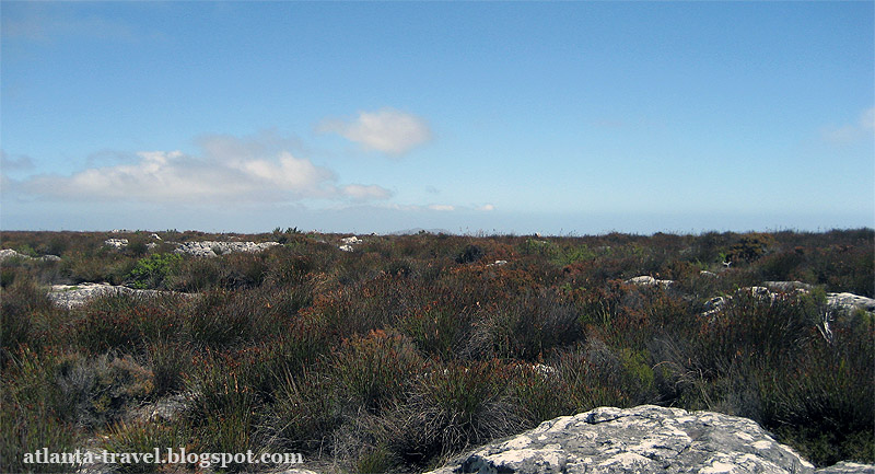 Table Mountain Столовая гора Кейптаун Cape Town