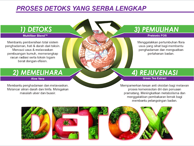 4 Fasa Detox Lengkap Dengan Nutrelle Extra  Lutfi Yunus