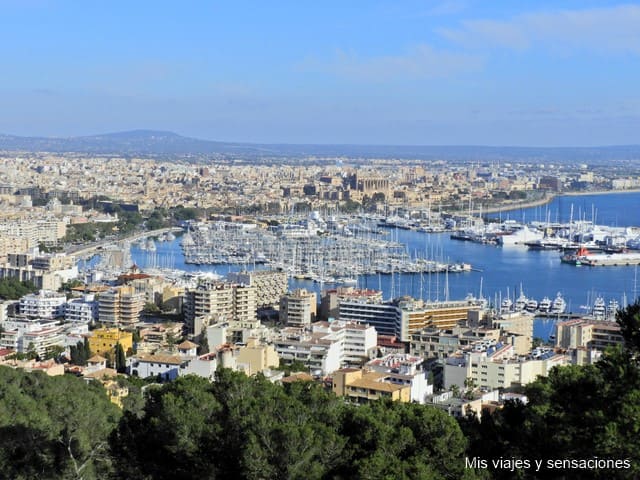 Qué ver en Palma de Mallorca. 12 lugares que no debes perderte en la ciudad