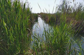 Els Estanys d'Almenara, provincia de Castellón.