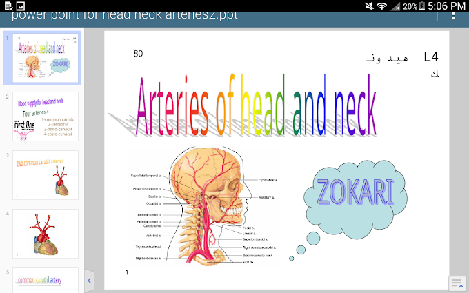 Head and Neck, Chapter 4, Arteries 