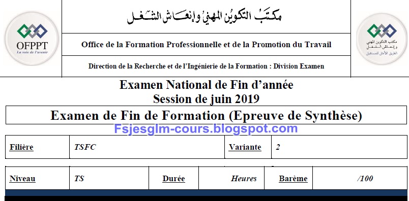 Examen de Fin de Formation TSFC 2019 épreuve de synthèse