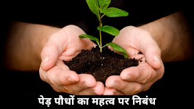 पेड़ पौधे का महत्व पर निबंध। Essay On  Importance Of Trees In Hindi