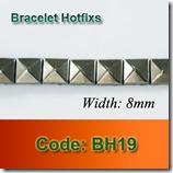 BH19 copy