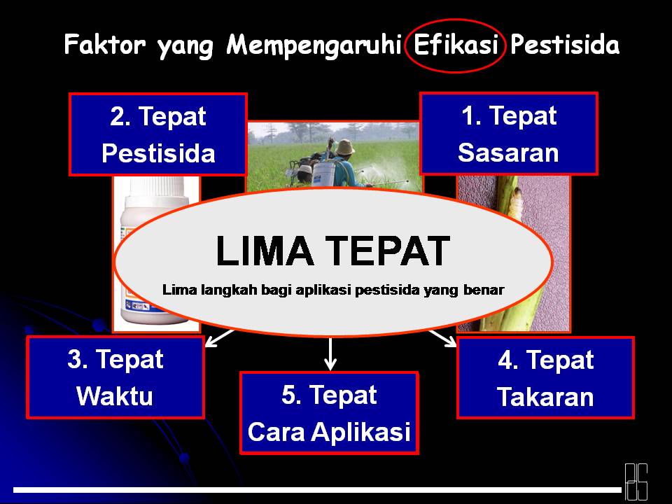 BALAI PENYULUHAN KECAMATAN BPK KECAMATAN LENTENG KAB 