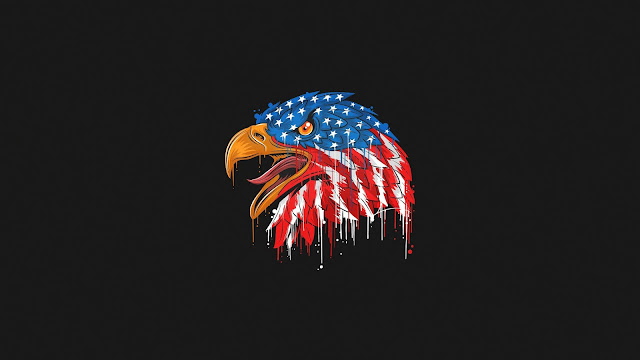 American Flag Eagle Minimal