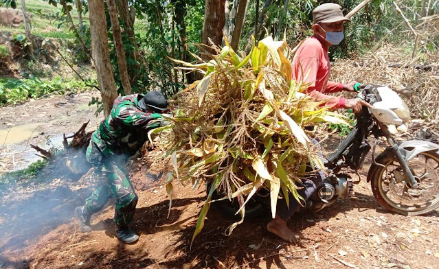 Jalan Licin , Satgas TMMD Bantu Warga Dorong Sepeda