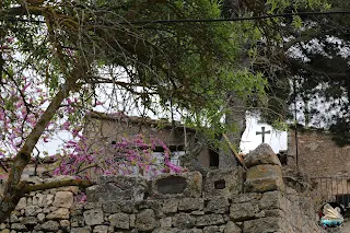 Visite guidée de Siurana : les paysages de Montsant