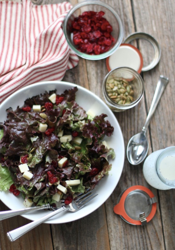 Red Leaf, White Cheddar and Cranberry Salad from Measure and Whisk