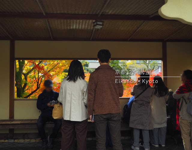 永観堂：東屋の窓から見える紅葉