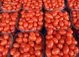 Diari rumah oren: Tomato, ubat panjang UMUR