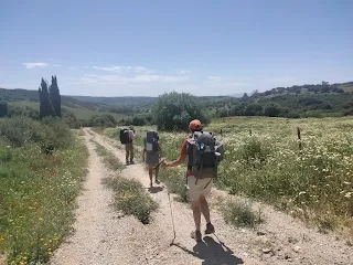 3 hikers on a path, flowers and trees around