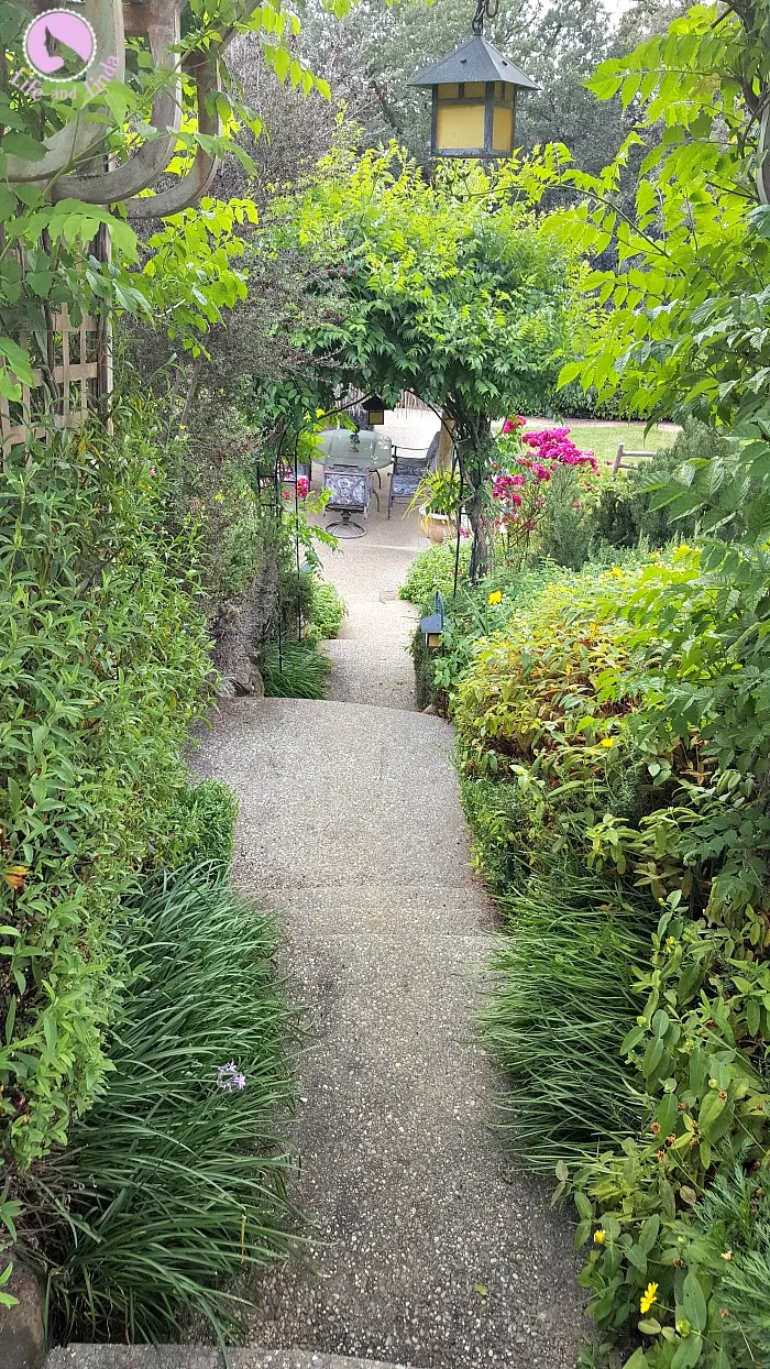 Lush landscaping surrounding the steps to out pool.