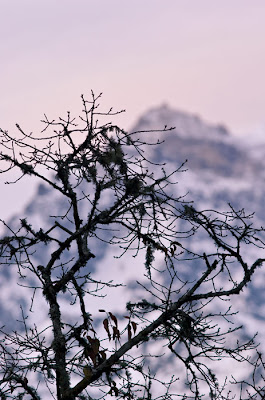 Evening silhouette, Annapurna Sanctuary Trail