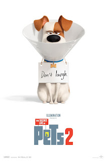 The Secret Life of Pets 2 will follow summer 2016's blockbuster about the lives our pets lead after we leave for work or school each day.