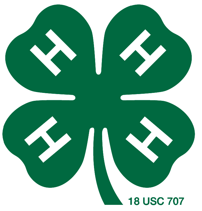 4-H is a youth organization