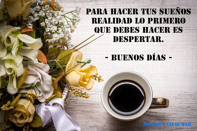 Frases y Citas Web