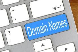 pemilihan nama domain