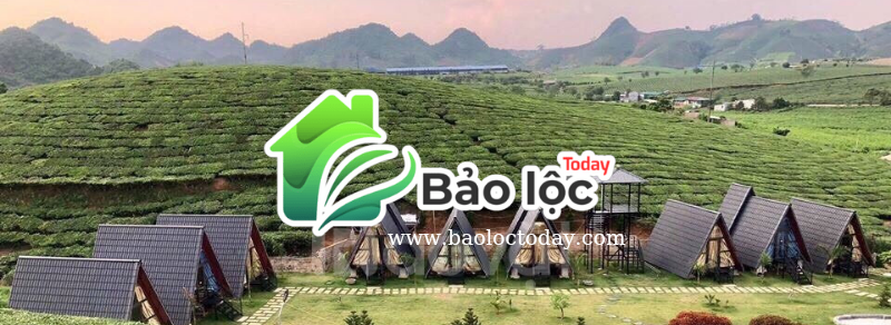 bạn đang tham khảo tin đăng mua bán nhà đất Hồ Tràm tại Hồ Tràm Today