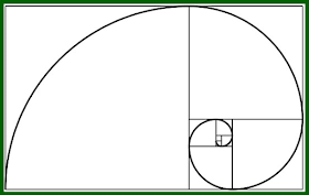 Nautilus, Fibonacci Sequence, Phi
