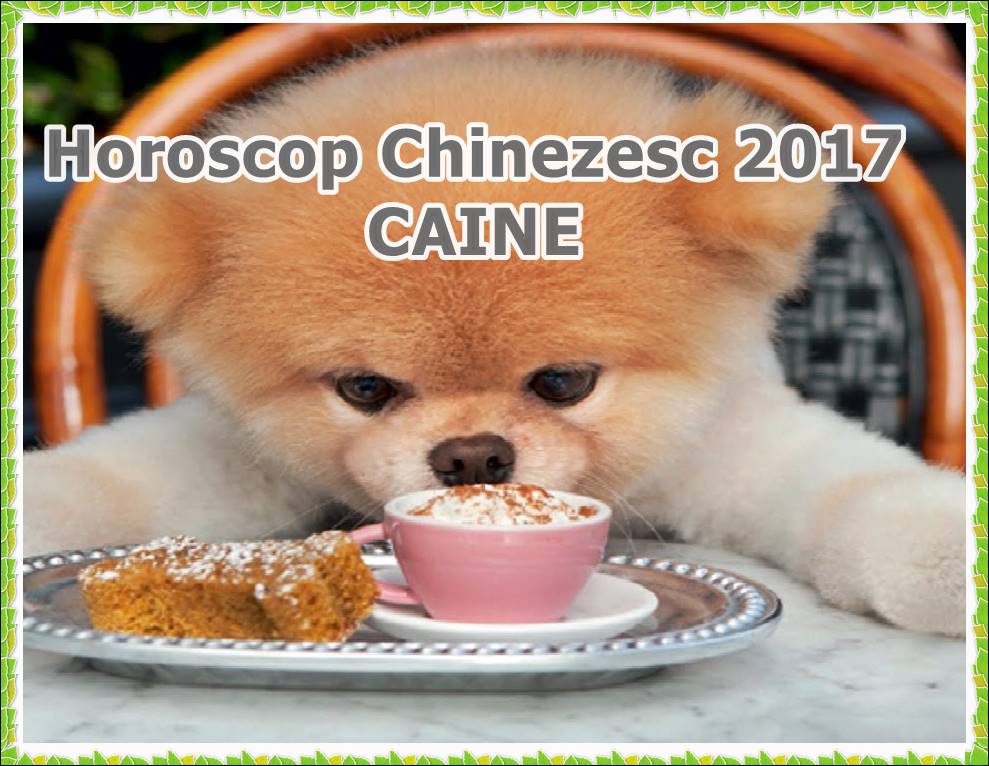 Horoscop Chinezesc 2017 Caine Zodiac Chinezesc Previziuni Anuale