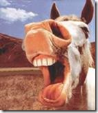 JackAss