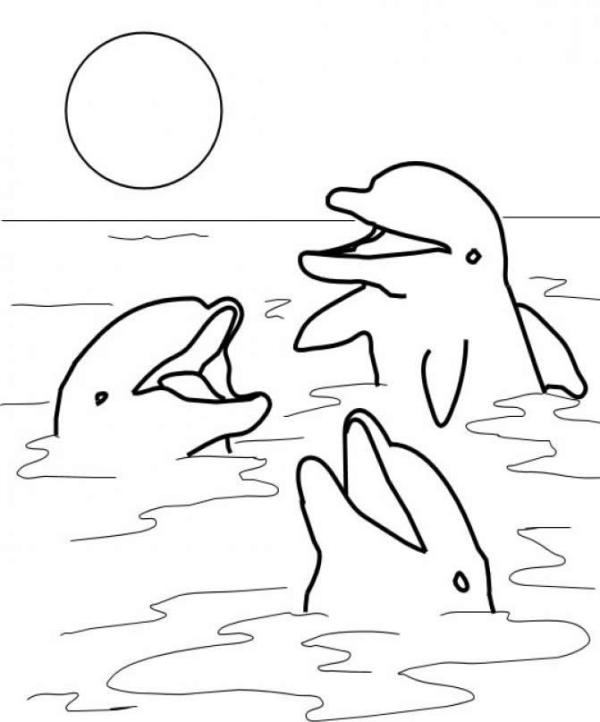 Halaman belajar mewarnai gambar  lumba  lumba  untuk anak