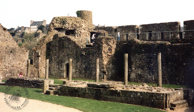 FOUGERES (35) - Château-fort (XIIe-XVe siècles)