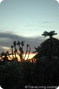FlorenceSunset 109