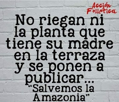 No riegan ni la planta que tiene su madre en la terraza y se ponen a publicar "salvemos la Amazonia".