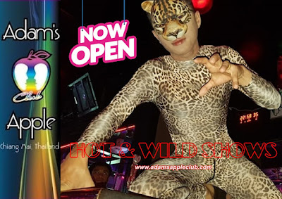 Hot and Wild Shows Adams Apple Gay Club Chiang Mai, Thailand