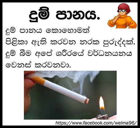 10 Bad Habits That Damage Your Brain Sinhala Articl 14