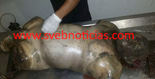 Hallan cuerpo descuartizado en carretera Chote-Tajín en Papantla Veracruz