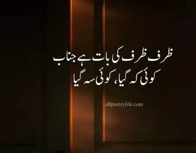 Broken-Heart-Poetry-In-Urdu-2-Lines-Heart-Broken-Poetry