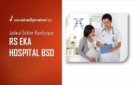 Jadwal Dokter Kandungan RS Eka Hospital BSD