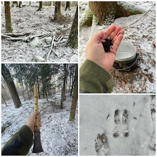 Bildkollage med fyra bilder som visar beskrivna händelser i texten.