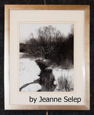 jeanne-selep-mequon-wisconsin-winter-snow