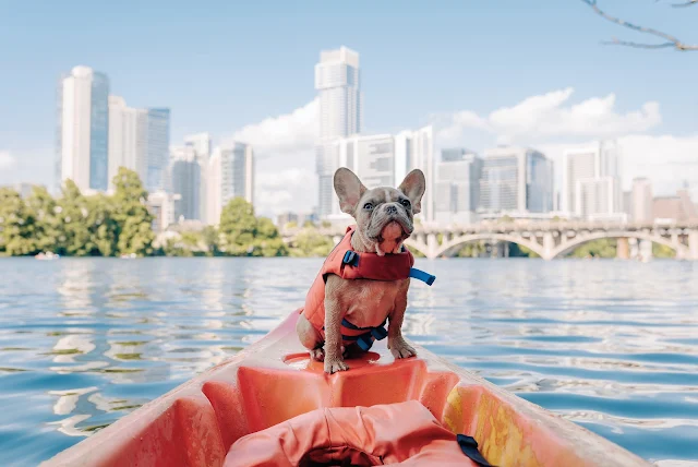paddle boating with dog