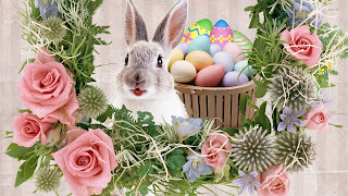 Religious easter wallpaper, easter wallpaper free downloads, happy easter wallpapers free, easter bunny wallpaper, free easter wallpaper screensavers, easter wallpaper iphone, easter backgrounds for photography, cute easter wallpaper, easter wallpaper hd, easter wallpaper free downloads, easter bunny wallpaper, easter bunny backgrounds, easter cross backgrounds , Animal,    Bunny,   Colorful,   Easter,   Holiday,   Rabbit, Baby, Cat ,  Egg  , Kitten, Daisy, Flower ,  Grass  ,Tree ,  White, Bokeh ,  Bunny ,Ears  , Cup 