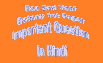 Bsc 2nd Year Botany 1st Paper Important Question