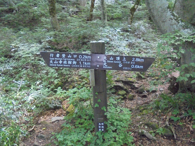 大神山神社へ登山道を降ります