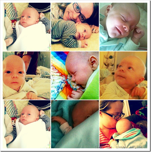 My Photo Stream15