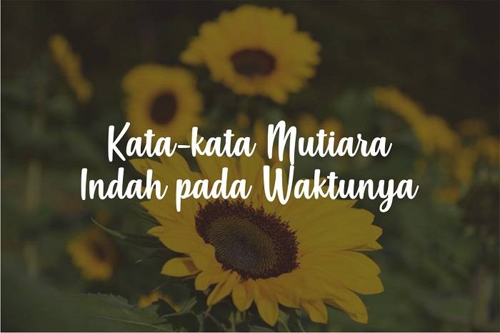 55+ Inilah Kata Kata Mutiara Indah Pada Waktu Nya