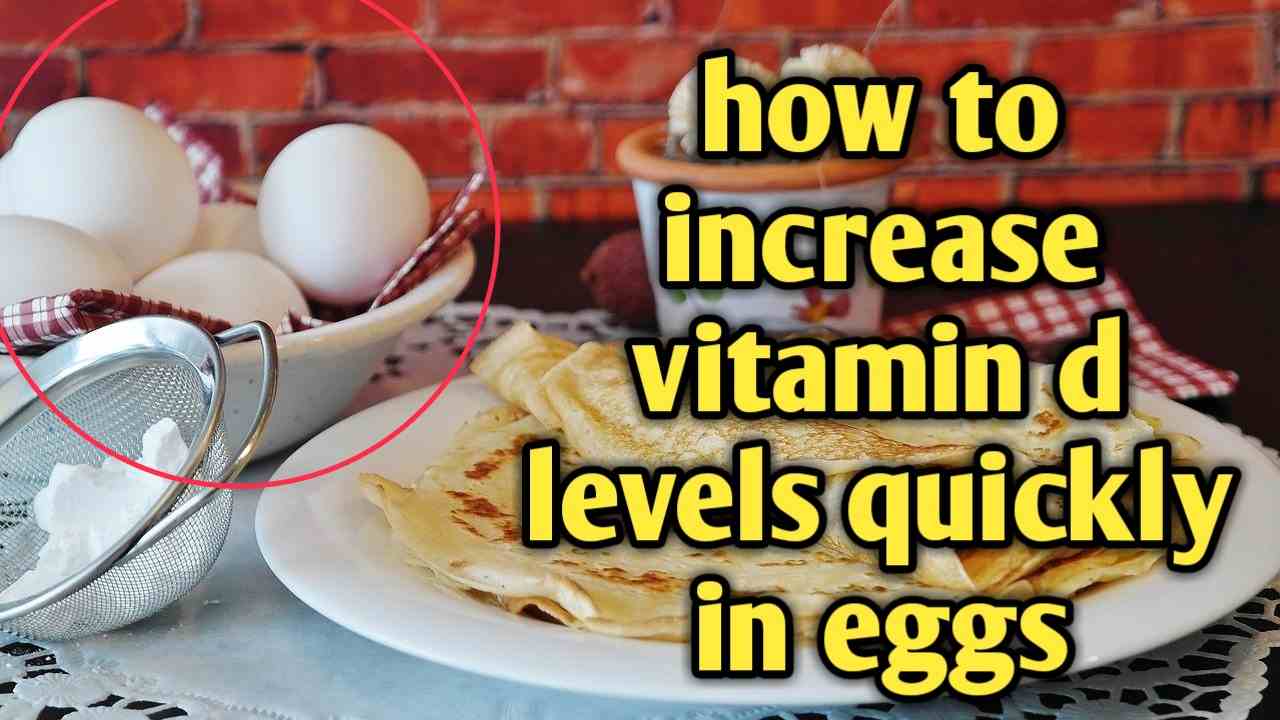How To Increase Vitamin D Levels Quickly In Eggs