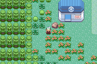 Pokemon Magic Emerald Screenshot 01