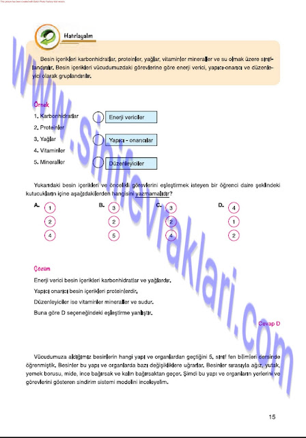 7. Sınıf Fen Bilimleri Mevsim Yayınları Ders Kitabı Cevapları Sayfa 15