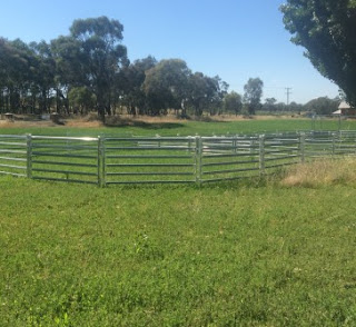 Horse Round Yard Gate